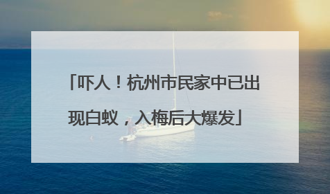 吓人！杭州市民家中已出现白蚁，入梅后大爆发