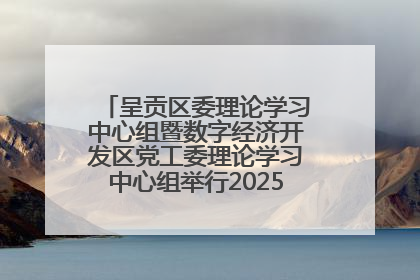 呈贡区委理论学习中心组暨数字经济开发区党工委理论学习中心组举行2025年第七次学习会议