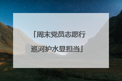 周末党员志愿行 巡河护水显担当