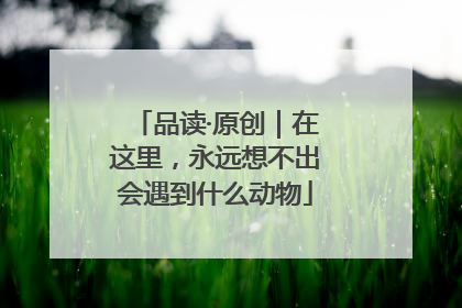 品读·原创｜在这里，永远想不出会遇到什么动物