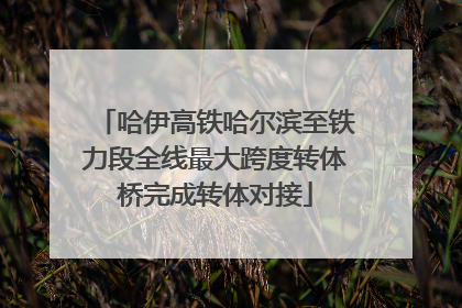 哈伊高铁哈尔滨至铁力段全线最大跨度转体桥完成转体对接