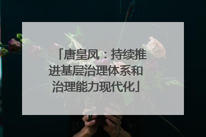 唐皇凤：持续推进基层治理体系和治理能力现代化
