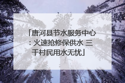 唐河县节水服务中心：火速抢修保供水 三千村民用水无忧