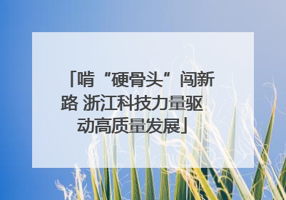 啃“硬骨头”闯新路 浙江科技力量驱动高质量发展