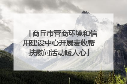 商丘市营商环境和信用建设中心开展麦收帮扶慰问活动暖人心