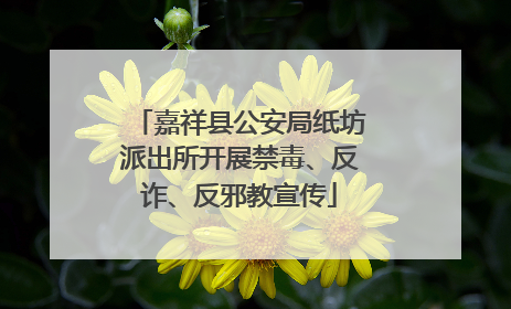 嘉祥县公安局纸坊派出所开展禁毒、反诈、反邪教宣传