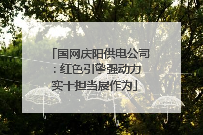 国网庆阳供电公司：红色引擎强动力 实干担当展作为