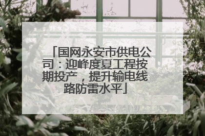 国网永安市供电公司：迎峰度夏工程按期投产，提升输电线路防雷水平