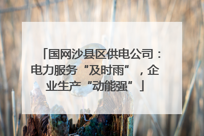国网沙县区供电公司：电力服务“及时雨”，企业生产“动能强”
