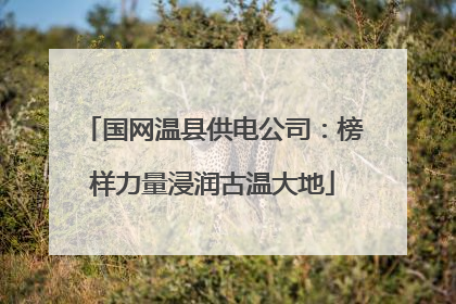 国网温县供电公司：榜样力量浸润古温大地