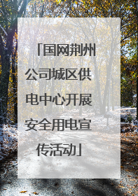 国网荆州公司城区供电中心开展安全用电宣传活动