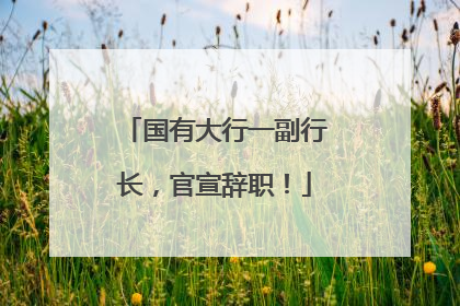 国有大行一副行长，官宣辞职！