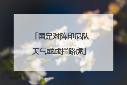 国足对阵印尼队 天气或成拦路虎