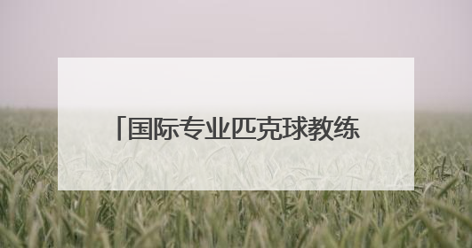 国际专业匹克球教练员协会（IPTPA）亚洲教练员培训基地落户儋州海花岛