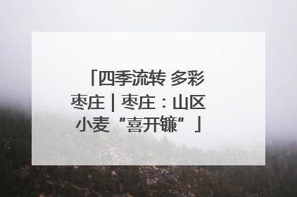 四季流转 多彩枣庄｜枣庄：山区小麦“喜开镰”