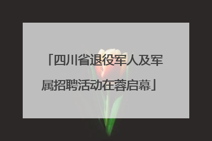 四川省退役军人及军属招聘活动在蓉启幕