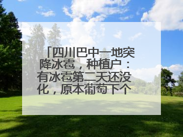 四川巴中一地突降冰雹，种植户：有冰雹第二天还没化，原本葡萄下个月上市，现在全被打落