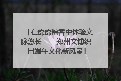 在绵绵粽香中体验文脉悠长——郑州文博织出端午文化新风景