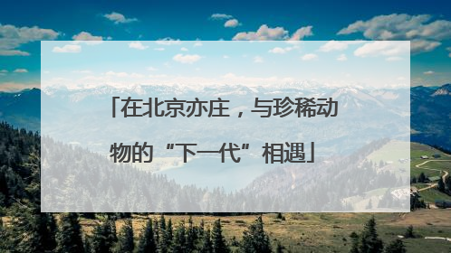在北京亦庄，与珍稀动物的“下一代”相遇
