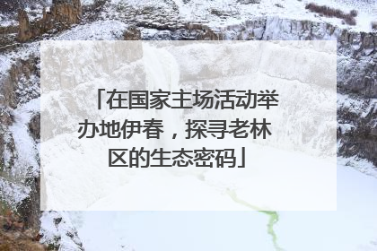 在国家主场活动举办地伊春，探寻老林区的生态密码
