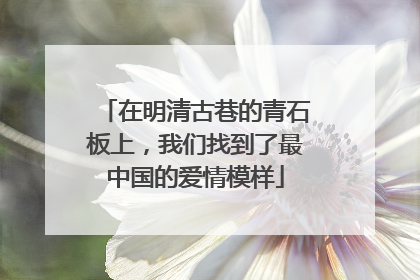 在明清古巷的青石板上，我们找到了最中国的爱情模样