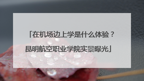 在机场边上学是什么体验？昆明航空职业学院实景曝光