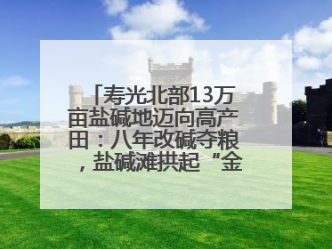 寿光北部13万亩盐碱地迈向高产田：八年改碱夺粮，盐碱滩拱起“金粮仓”