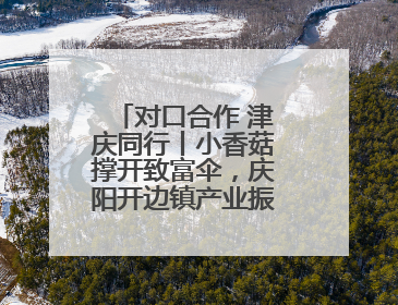 对口合作 津庆同行丨小香菇撑开致富伞，庆阳开边镇产业振兴有“蘑”力