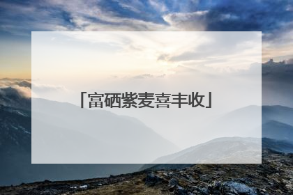 富硒紫麦喜丰收