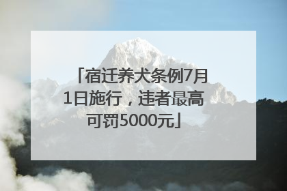 宿迁养犬条例7月1日施行，违者最高可罚5000元