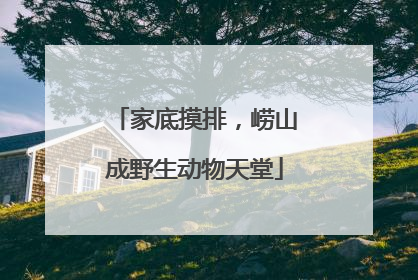 家底摸排，崂山成野生动物天堂