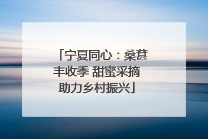 宁夏同心：桑葚丰收季 甜蜜采摘助力乡村振兴