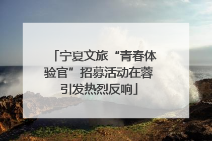 宁夏文旅“青春体验官”招募活动在蓉引发热烈反响