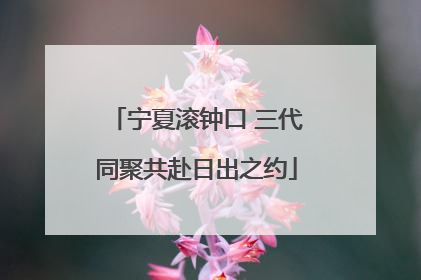 宁夏滚钟口 三代同聚共赴日出之约