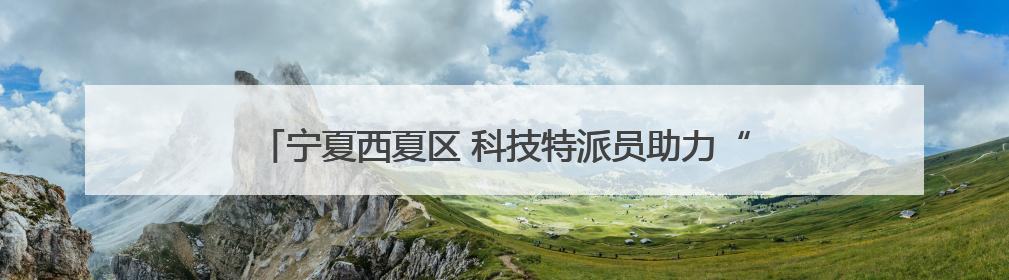 宁夏西夏区 科技特派员助力“紫色经济”酿出乡村振兴新风味