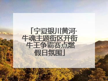 宁夏银川黄河·牛魂主题街区开街 牛王争霸赛点燃假日氛围