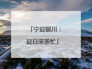 宁夏银川：夏日采茶忙