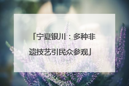 宁夏银川：多种非遗技艺引民众参观