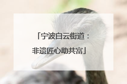 宁波白云街道：非遗匠心助共富