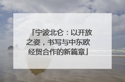 宁波北仑：以开放之姿，书写与中东欧经贸合作的新篇章