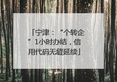 宁津：“个转企”1小时办结，信用代码无缝延续