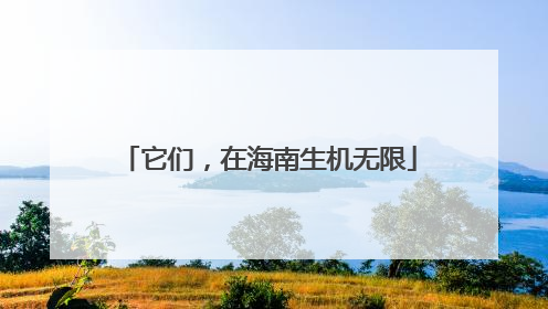 它们，在海南生机无限