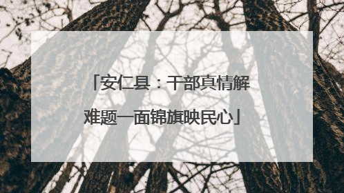 安仁县：干部真情解难题一面锦旗映民心