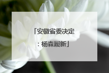 安徽省委决定：杨森履新