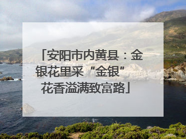 安阳市内黄县：金银花里采“金银” 花香溢满致富路