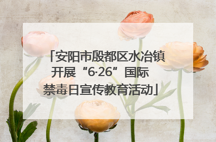 安阳市殷都区水冶镇开展“6·26”国际禁毒日宣传教育活动