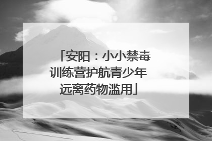 安阳：小小禁毒训练营护航青少年远离药物滥用