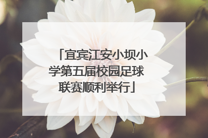 宜宾江安小坝小学第五届校园足球联赛顺利举行