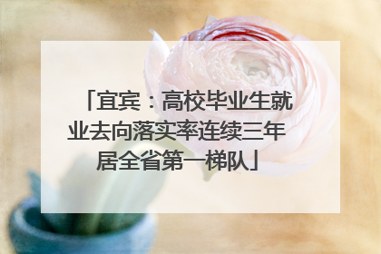 宜宾：高校毕业生就业去向落实率连续三年居全省第一梯队