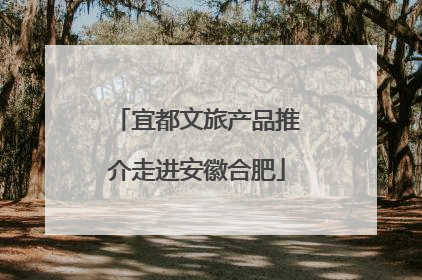宜都文旅产品推介走进安徽合肥